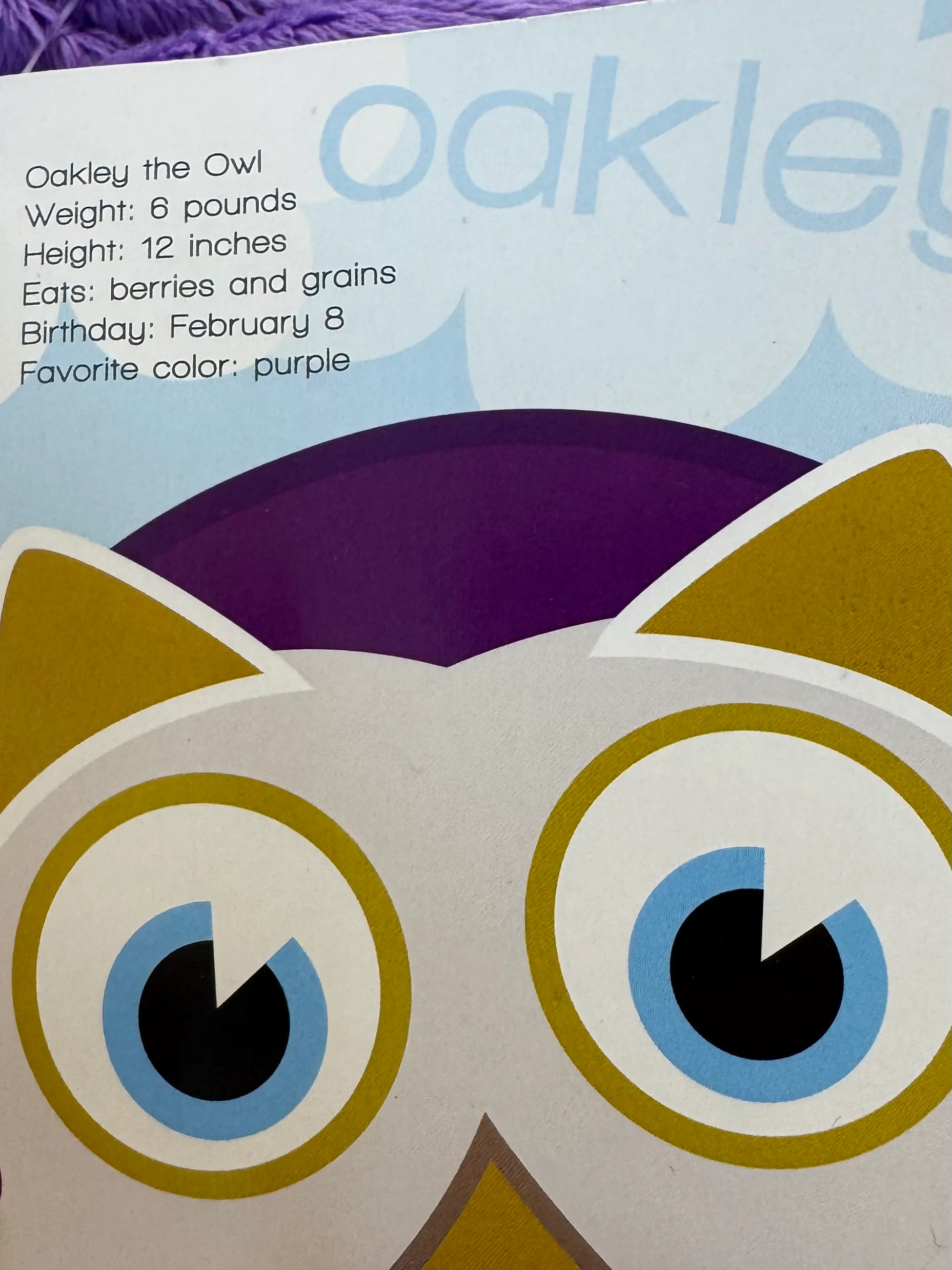 Big Joe Oakley the Owl Bagimal Bean Bag Chair - Image 4