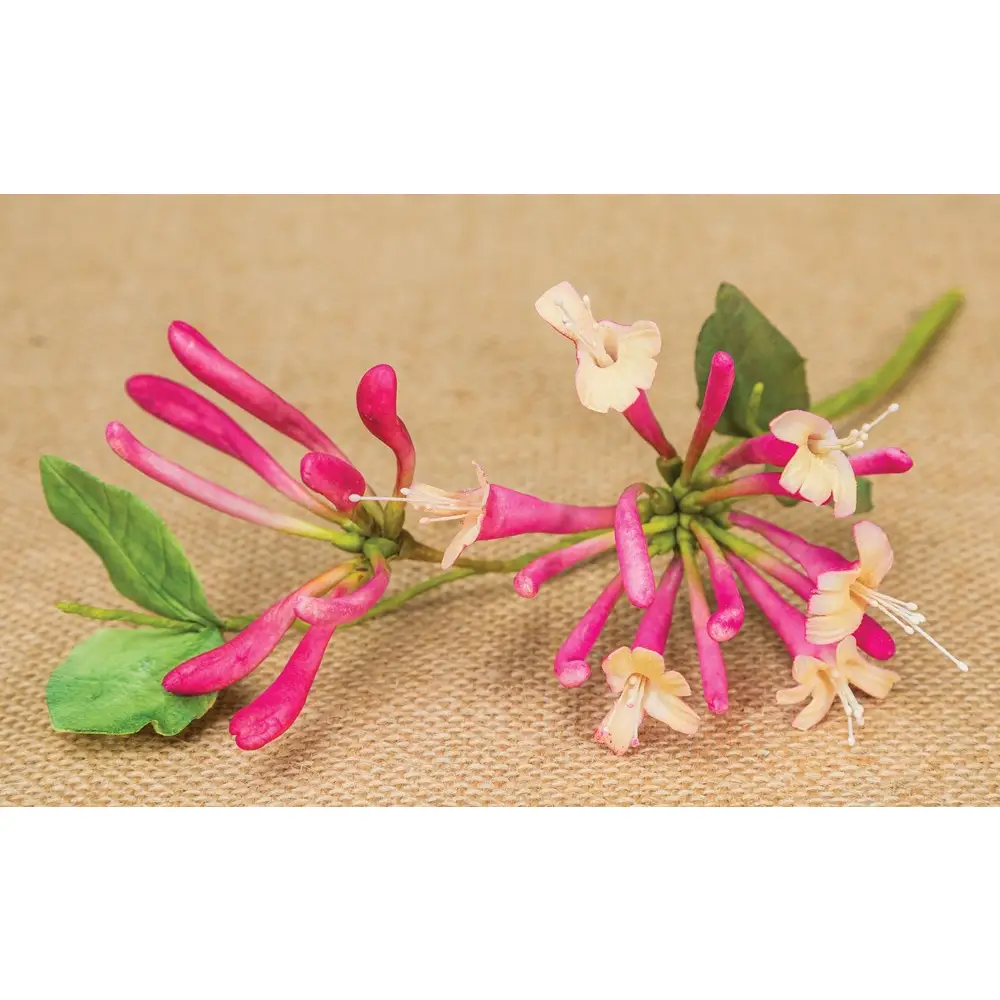 Sugarcraft Flowers - Image 3